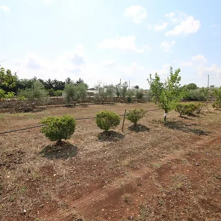 Trullo Il Vecchio Fico